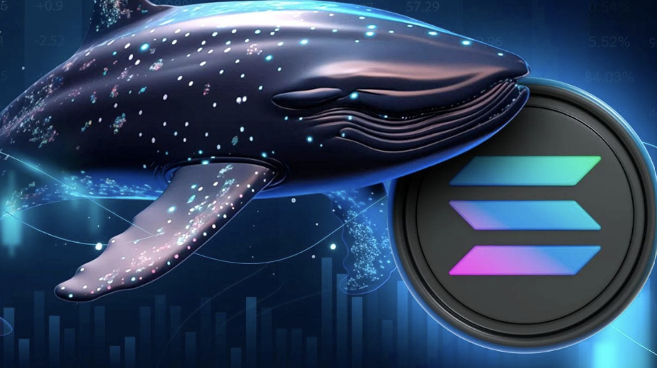 Solana Whales Favor ETFSwap (ETFS) Over BONK For 6,700% ROI Potential