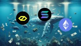 Solana and Ethereum at Risk? Whales Are Backing a New Favorite Set to Explode 6,600% by Early 2025
