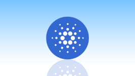 Cardano Price Still With No Clear Direction as This Token Presale Grows in Popularity