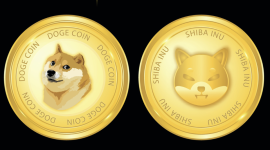 This Shiba Inu (SHIB) Competitor Could Turn Your $1,000 Into $1 Million In Less Than A Year