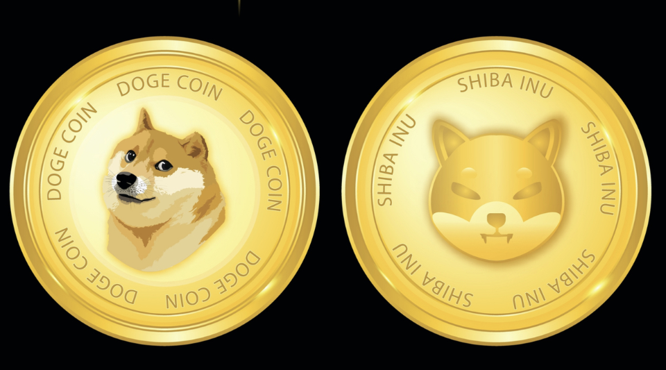 This Shiba Inu (SHIB) Competitor Could Turn Your $1,000 Into $1 Million In Less Than A Year