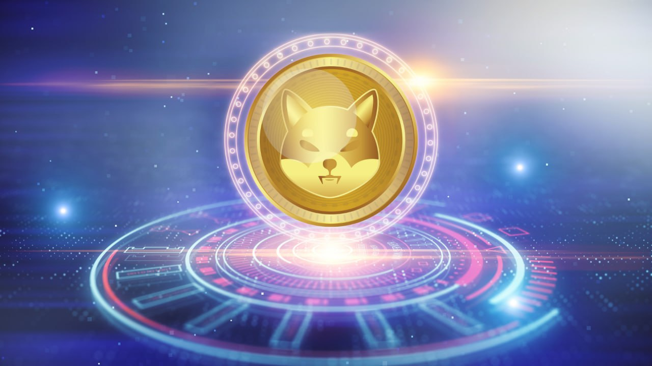 $500 in Shiba Inu vs $500 in RCOF: One of These Tokens Will Turn You into a Crypto Millionaire by 2025