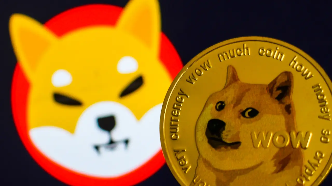 Why Zig Network (ZIG) is Poised for Success in 2024, Outranking Dogecoin (DOGE) and Shiba Inu (SHIB)