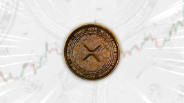 Top Binance Coin and Chainlink Addresses Spotted Investing in this Ripple Killer for a Potential 1,600% Gain