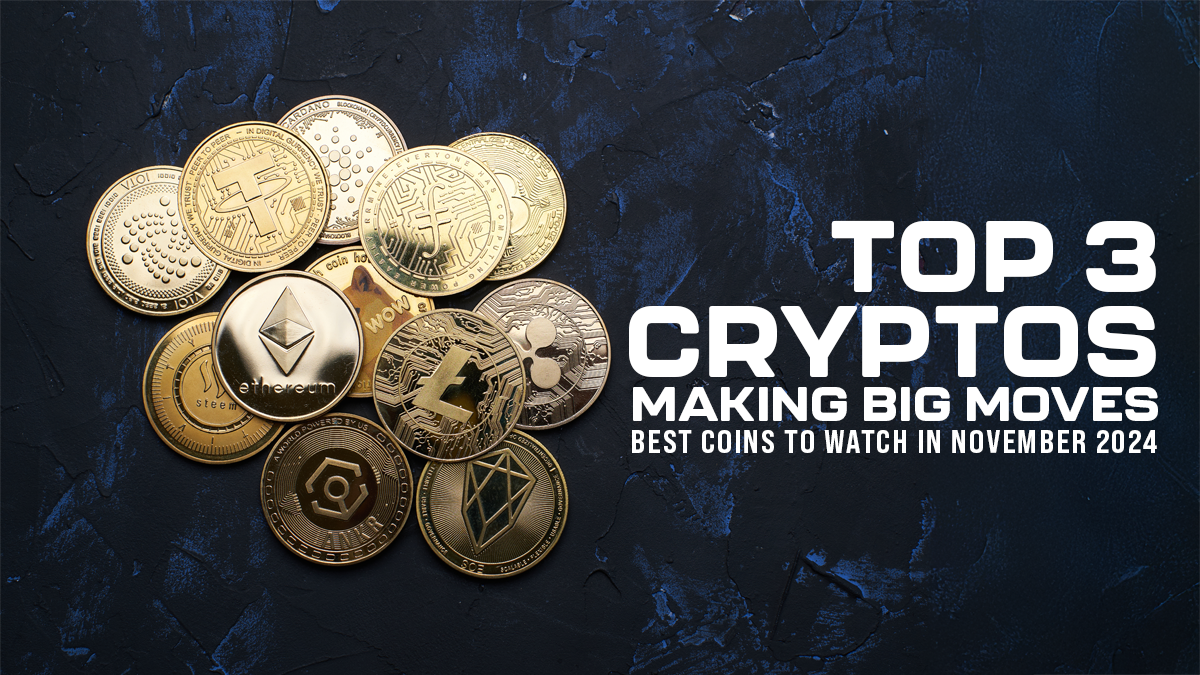 3 Best Crypto Coins to Buy Now In November 2024 and Hold – Top Crypto to Invest in