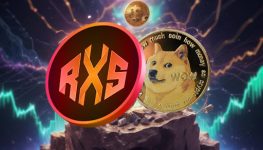 Dogecoin Will Make You 33x Richer by Mid-2025, One Cheaper DOGE Rival Aims for the Same in Just Weeks: It’s Not Shiba Inu (SHIB)