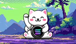 Positive Solana News As SOL Price Bursts $200 Target, Kaspa Eyes $0.20 Comeback, As Cutoshi Price Increases 80%