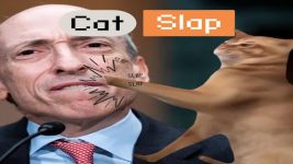 Low-Cap Cat-Themed Meme Coin Preparing For Explosive Gains