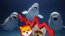 Whales Sell SHIB and WIF to Invest in This Crypto Set to Deliver Unprecedented 99,000% Gains!