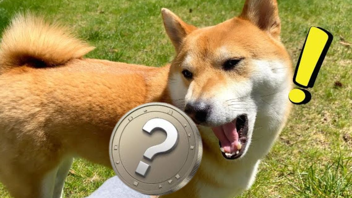 Three Altcoins Predicted to Outshine Shiba Inu’s Legendary 2021 Rally by Mid-2025