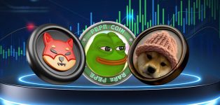 This Memecoin Has Raised Millions in Weeks. The Next DOGE?
