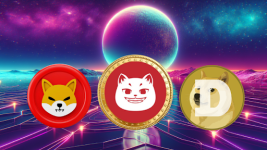 Analysts Reveal Whales Are Accumulating New Solana-based Token Over SHIB and DOGE – Could Its 12,000% Growth Potential Be the Reason?