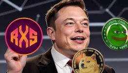 Pepe Coin and Dogecoin Hold Their Breath for Another Elon Musk-Inspired Rally as New Coin Becomes Untouchable