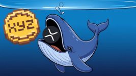 Newest XRP Prediction: $140M Whale Foresees Face-Melting Rally to $9 in 2025 and XYZVerse to Surge 65,000%