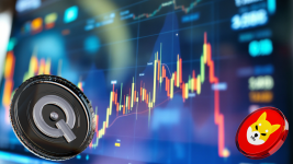 SHIB's Worst Crash In Months Happens As Mystery Whale Just Made A $10 Million Bet On This $0.04 Crypto