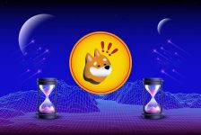 ChowWow’s Demand Rises as Bonk Faces a Price Pullback