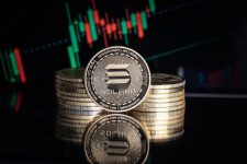 Why ChowWow will Replicate the SOL & ADA 2021 Rally