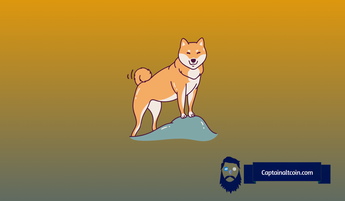 Here's Why Dogecoin (DOGE) Price Will Hit $0.30 By July – Top Meme Coin to Buy Now?