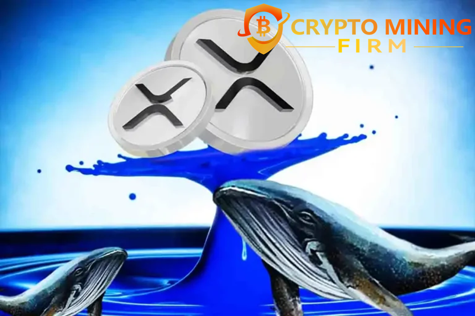 2025 Ripple Whales Are Quietly Betting Big on This Cloud Mining Opportunity - Here’s Why