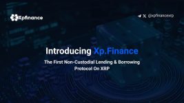 XpFinance