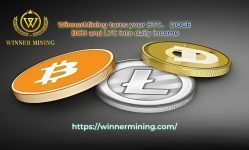 WinnerMining