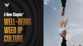 Weed Launches Global Well-Being Platform Powered by AI