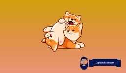 Analyst Says Shiba Inu (SHIB) Price Is Headed For a Rally – Here’s What the Chart Reveals