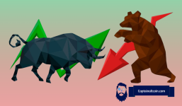 a pitcure showing crypto bull versus bear brawl