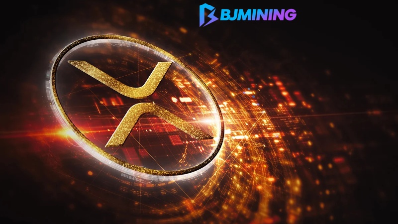 How to get passive income in the divergence of XRP and DOGE trends - BJMining Cloud Mining Solution