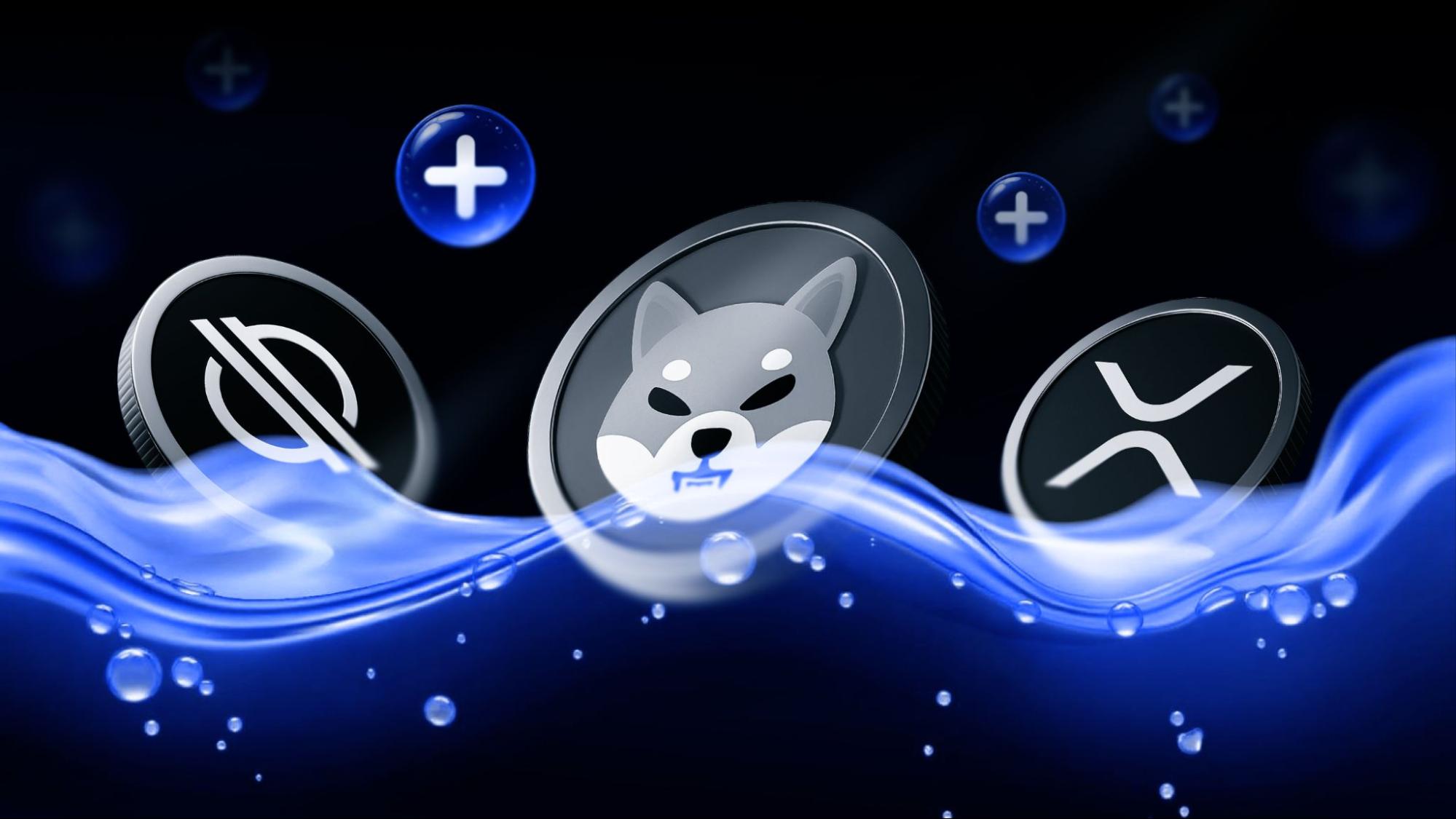 🟨"Mevolaxy Espande le Opportunità di Staking con Nuovi Asset"
