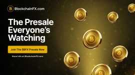 Which Crypto Will Dominate the Q3 2025 Bull Run? BlockchainFX, Book of Meme, or PEPE?