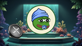 A $100 Bet on This Penny Crypto Is Like Buying $100 Worth of XRP in Its Prime Days in 2017, Could Turn Into $10,000 in 3 Months