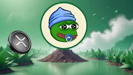 Best Crypto to Buy in 2025: What a $500 Investment in Ripple (XRP) Could Look Like After 12 Weeks Compared to Little Pepe (LILPEPE)
