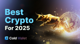Why Cold Wallet, Dogecoin, Shiba Inu, & BONK Are Watchlist Favorites Among the Top Cryptos of 2025