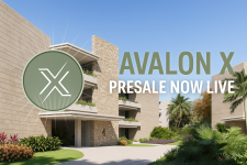 Avalon X Drives RWA Adoption, Trumping DOGE, SHIB & PEPE’s Meme Coin Buzz