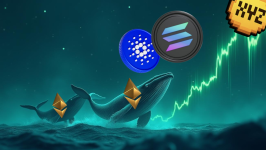 Ethereum Millionaire's Bold Call: XYZVerse (XYZ) from $0.0054 to $10 by Winter 2025 - Solana and Cardano Can't Compete