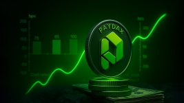PayDax Protocol Ushers New Era for Banking with Revolutionary DeFi Features, What You Need to Know