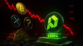 Crypto Live Updates For Today: Bitcoin, XRP, And Dogecoin In Freefall, Paydax Debuts With 4,500% ROI Expectations