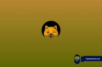 Analyst Updates Shiba Inu (SHIB) Price Prediction -  And It May Surprise You