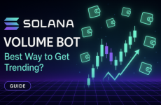 Understanding Volume, Wallets, and Visibility in Solana Token Launches