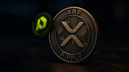 Top Executive Warns XRP Could Lose Its Edge if This Happens, Traders Run to PDP For Bigger Gains