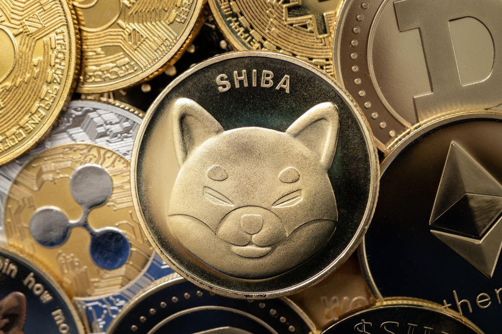 Ending the Year on a High Note — 3 High-Potential Altcoins to Buy Now