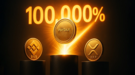 BNB Overtakes XRP To Become 3rd-Largest Crypto, But Analyst Says Paydax (PDP) Will Rally 100,000% To Flip Both