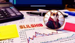 Why Analysts Are Labeling $LILSHIB the Best Meme Coin Buy of the Season: Early Pricing, Ethereum Backing, and Rapid Presale Interest