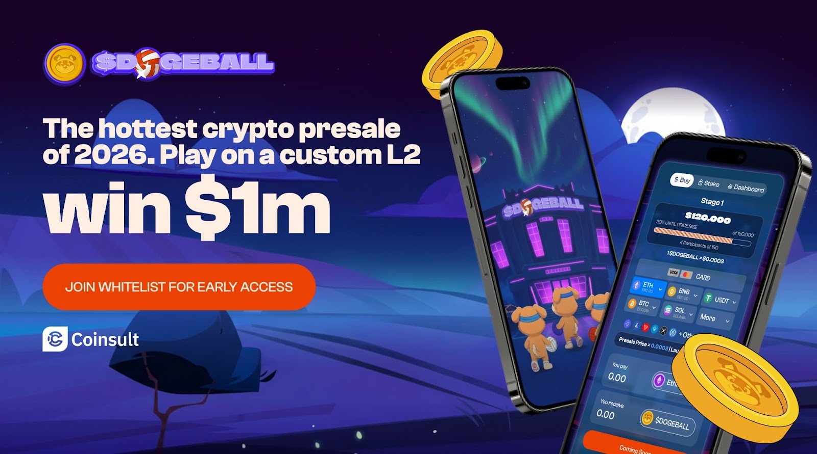 What Makes DOGEBALL a Best Meme Coin Whitelist While Others Are Still Raising on Ideas