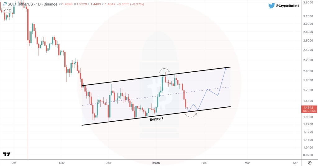 Il Prezzo di SUI Sta Raggiungendo un Punto Che Non Può Essere Ignorato Dopo Settimane di Declino