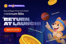 BNB’s Past Explains DOGEBALL’s Potential in the Next 100x Crypto Presale