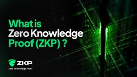 Experts Say ZKP Auctions May Hit $1.7B in 2026, While Cardano & BNB Struggle to Break Out