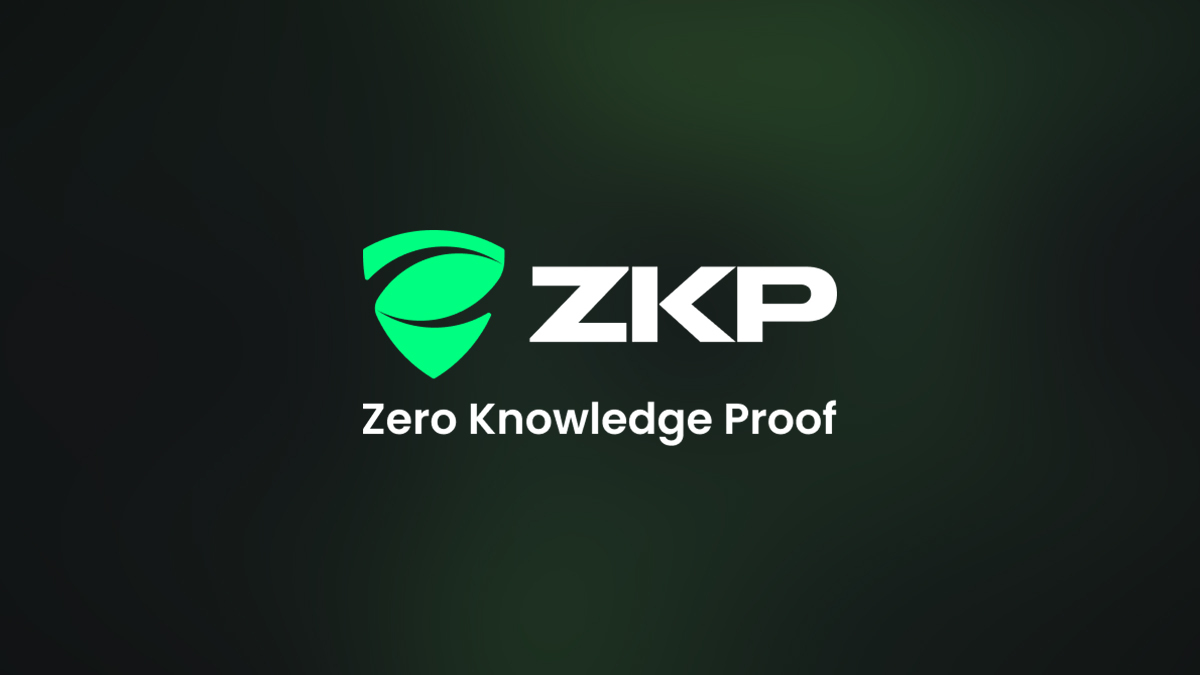 What Is Zero Knowledge Proof (ZKP)? Privacy First AI Crypto Unlike Ethereum, Solana, Bitcoin and Others