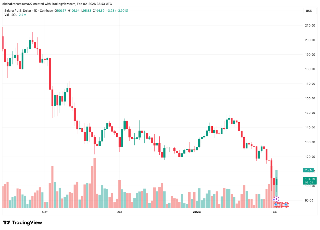 BlockDAG News February 2026: Scam Warnings and Plagiarism Claims Mar Project Updates, but DeepSnitch AI Is the Sure Gem for 100x Even in the Midst of the Red Market